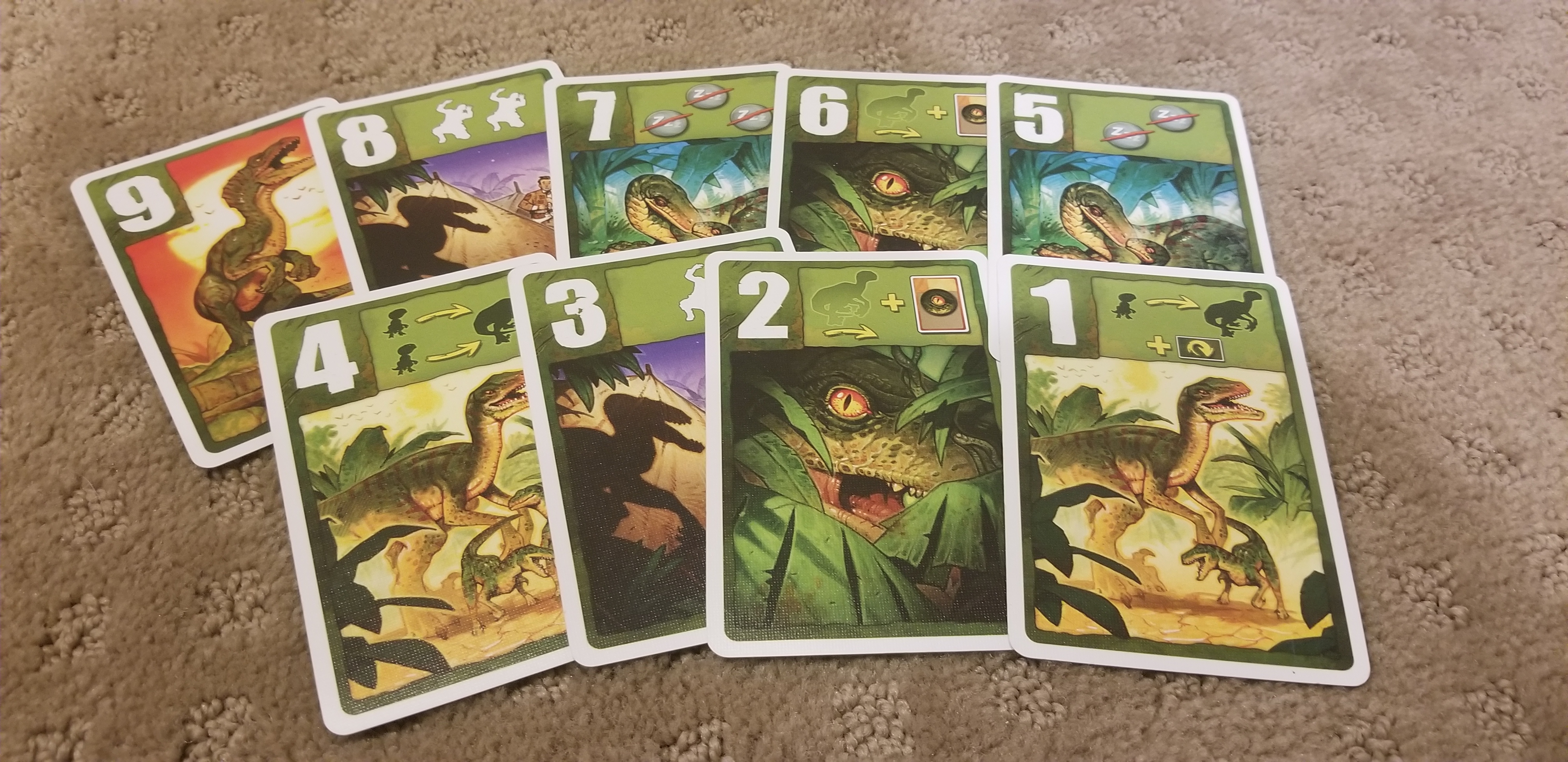Raptor cards.